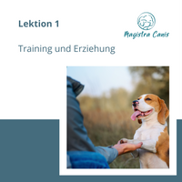 Ausbildung zum Hundetrainer Lektion 1 Einführung