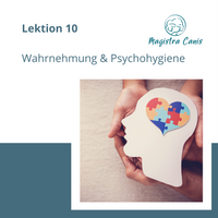 Ausbildung zum Hundetrainer Lektion 10 Wahrnehmung Psychohygiene