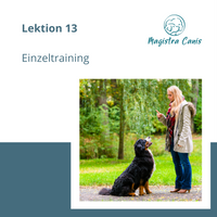 Ausbildung zum Hundetrainer Lektion 13 Einzeltraining