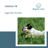 Ausbildung zum Hundetrainer Lektion 18 jagende Hunde