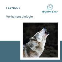 Ausbildung zum Hundetrainer Lektion 2 Verhaltensbiologie