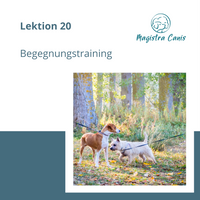 Ausbildung zum Hundetrainer Lektion 20 Begegnungstraining