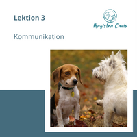 Ausbildung zum Hundetrainer Lektion 3 Kommunikation Hund Mensch