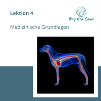 Ausbildung zum Hundetrainer Lektion 4 Medizinische Grundlagen