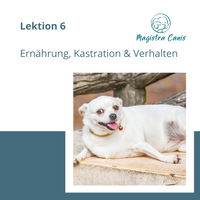 Ausbildung zum Hundetrainer Lektion 6 Ernährung, Kastration, Alter