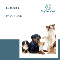 Ausbildung zum Hundetrainer Lektion 8 Rassekunde Hund